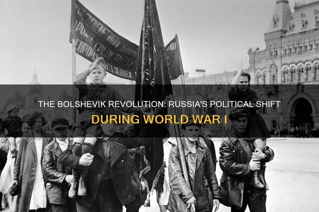 what political party took over russia during wwi
