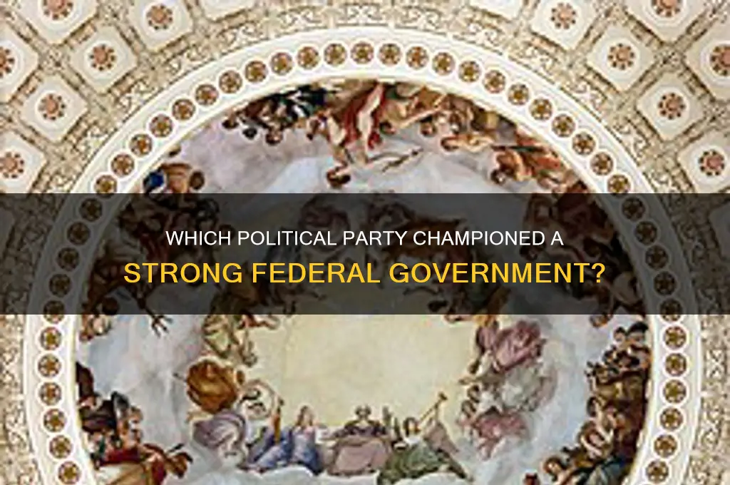 what political party wanted a strong federal government