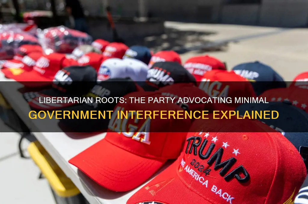 what political party wanted minimal government interference