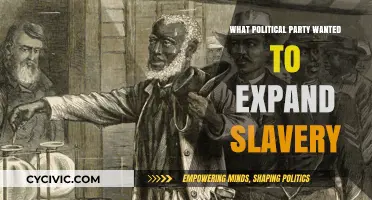 The Southern Democrats' Push to Expand Slavery in America