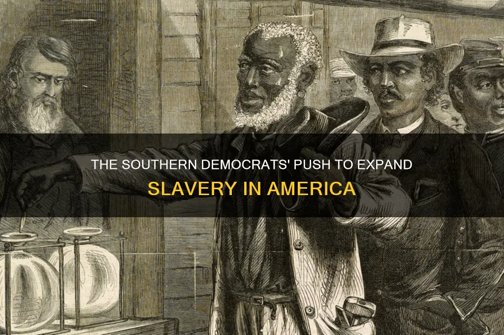 what political party wanted to expand slavery