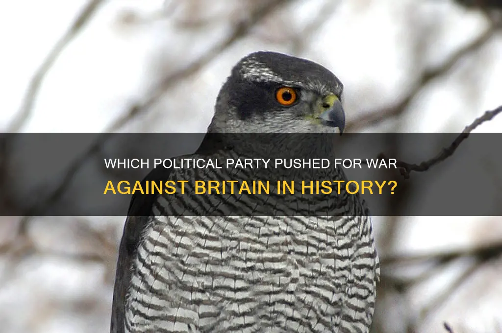 what political party wanted to go to war with britain