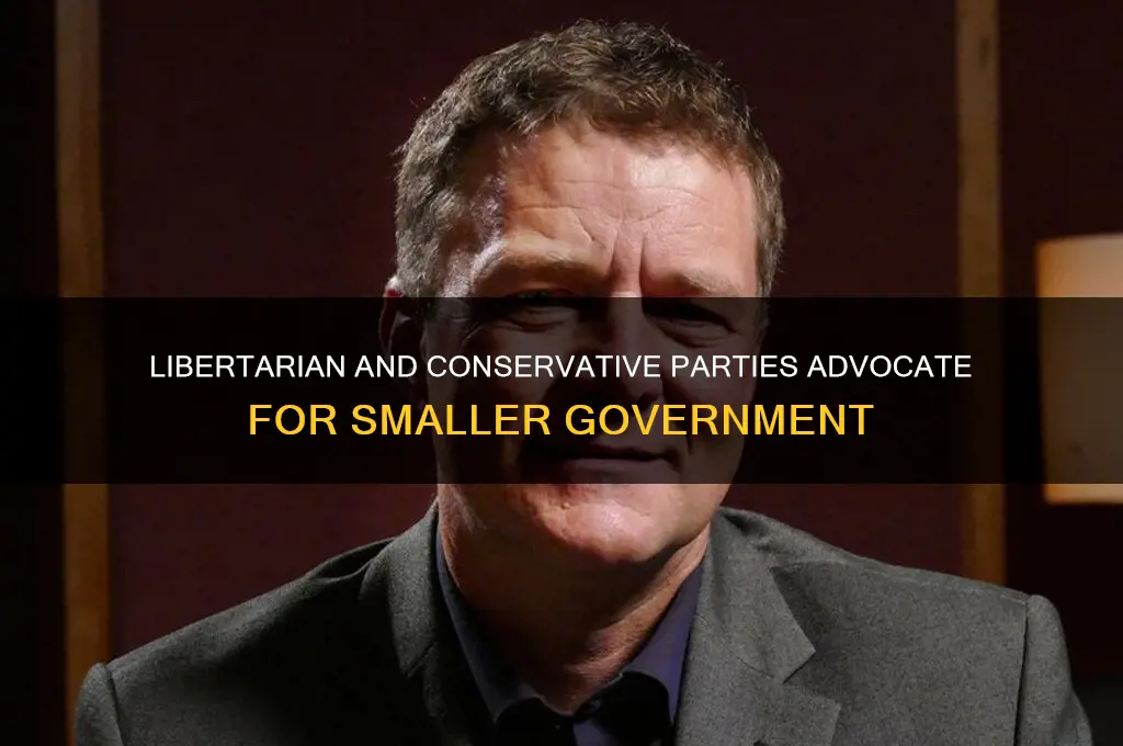 what political party wants a smaller government