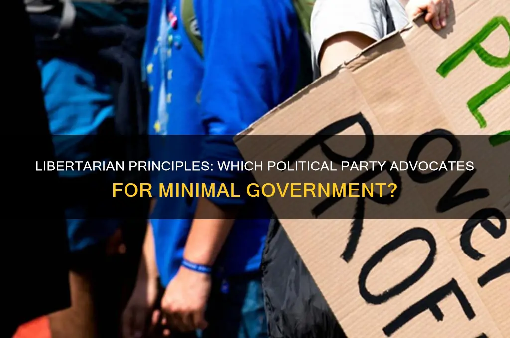 what political party wants less government