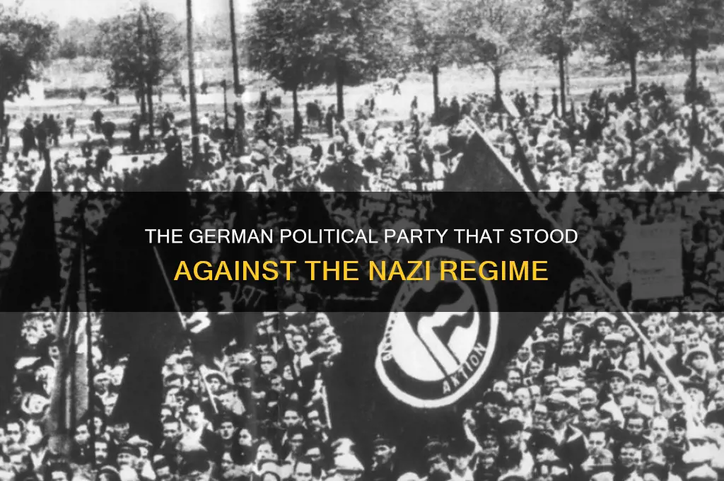 what political party was against the nazi