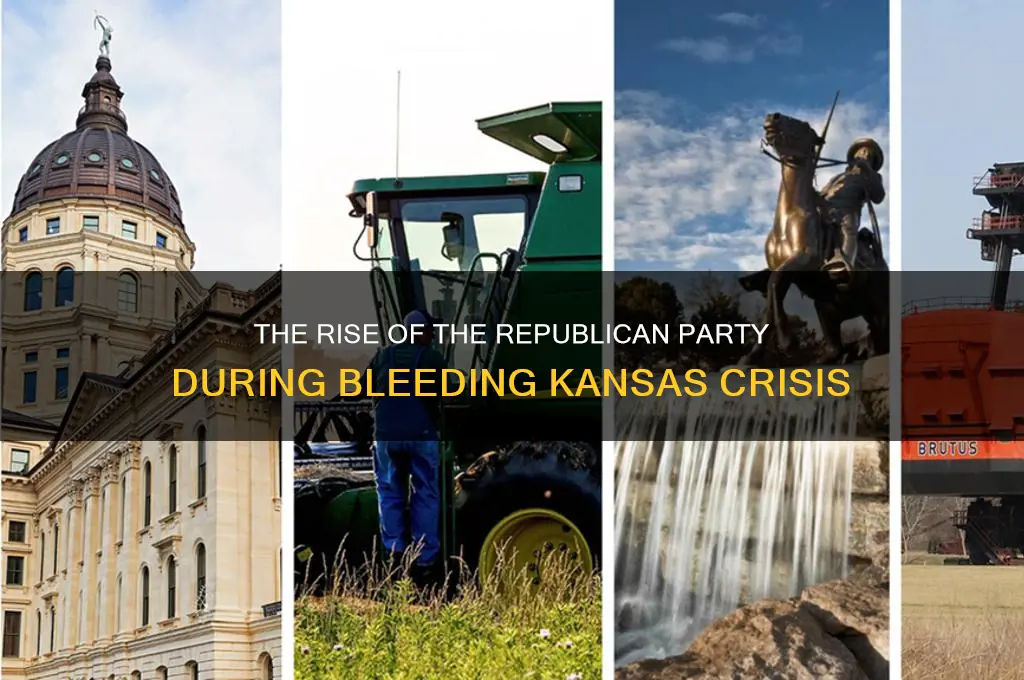what political party was created druing the bleeding kansasa