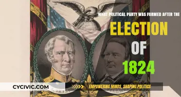 The Rise of the Democratic Party Post-1824 Election