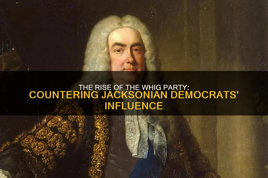 what political party was founded in opposition to jacksonian democrats