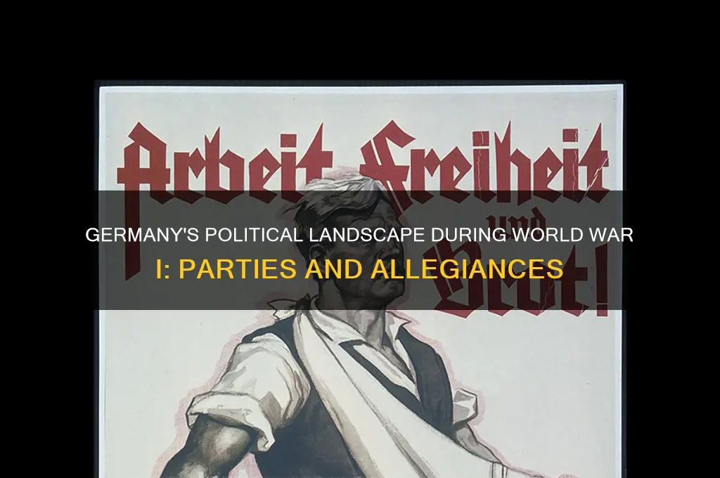 what political party was germany in ww1