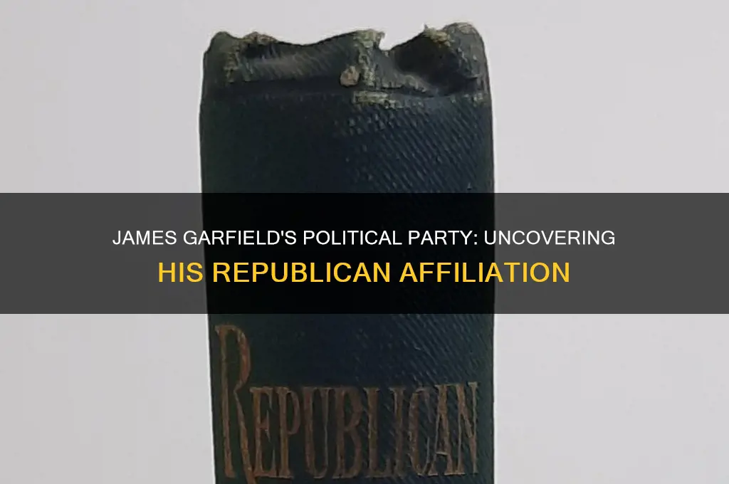 what political party was james garfield
