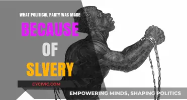 The Birth of a Party: Slavery's Role in Political Division