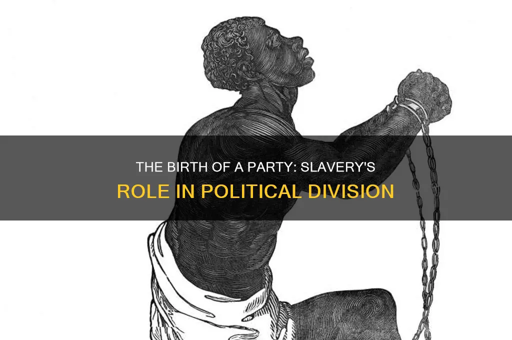 what political party was made because of slvery
