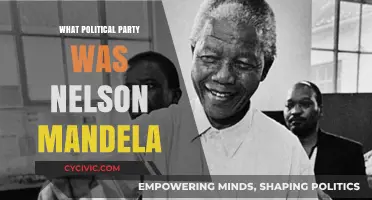 Nelson Mandela's Political Party: Uncovering His Lifelong Affiliation