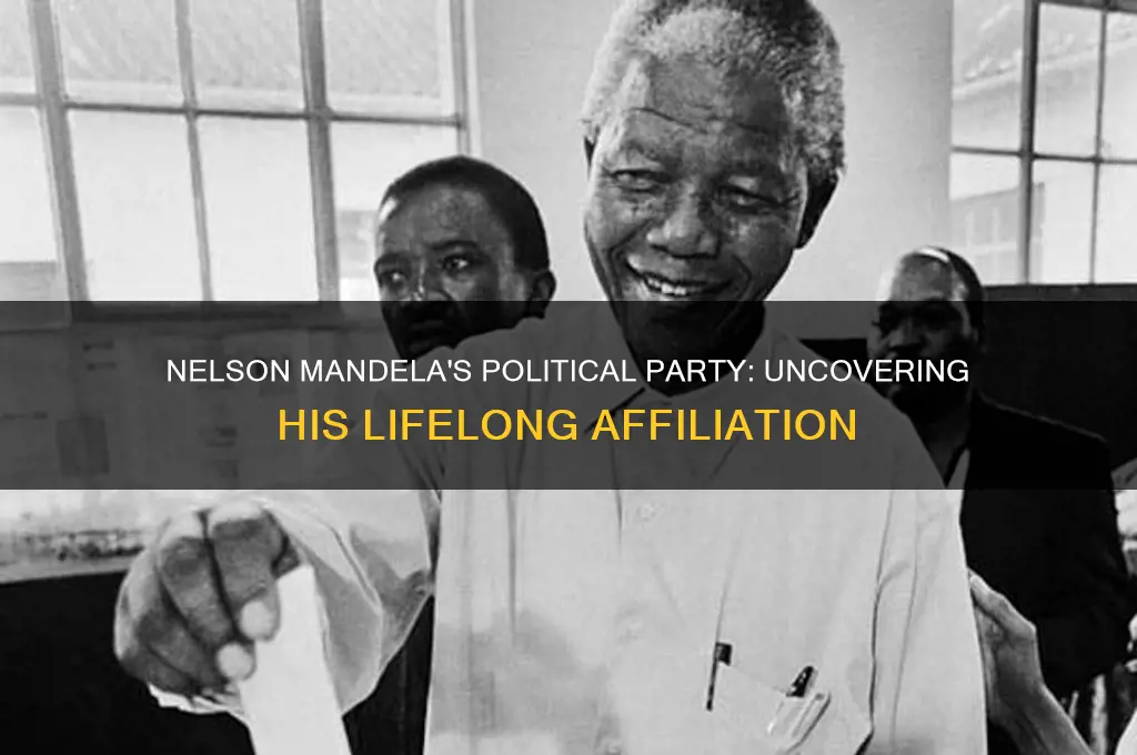 what political party was nelson mandela
