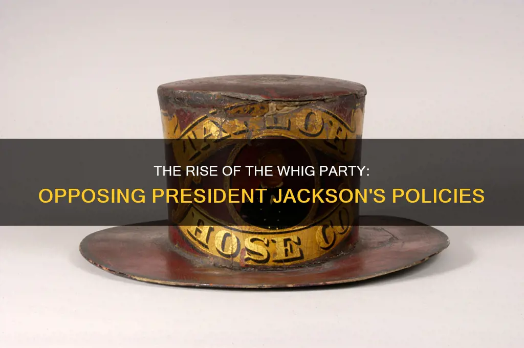 what political party was organized to oppose president jackson