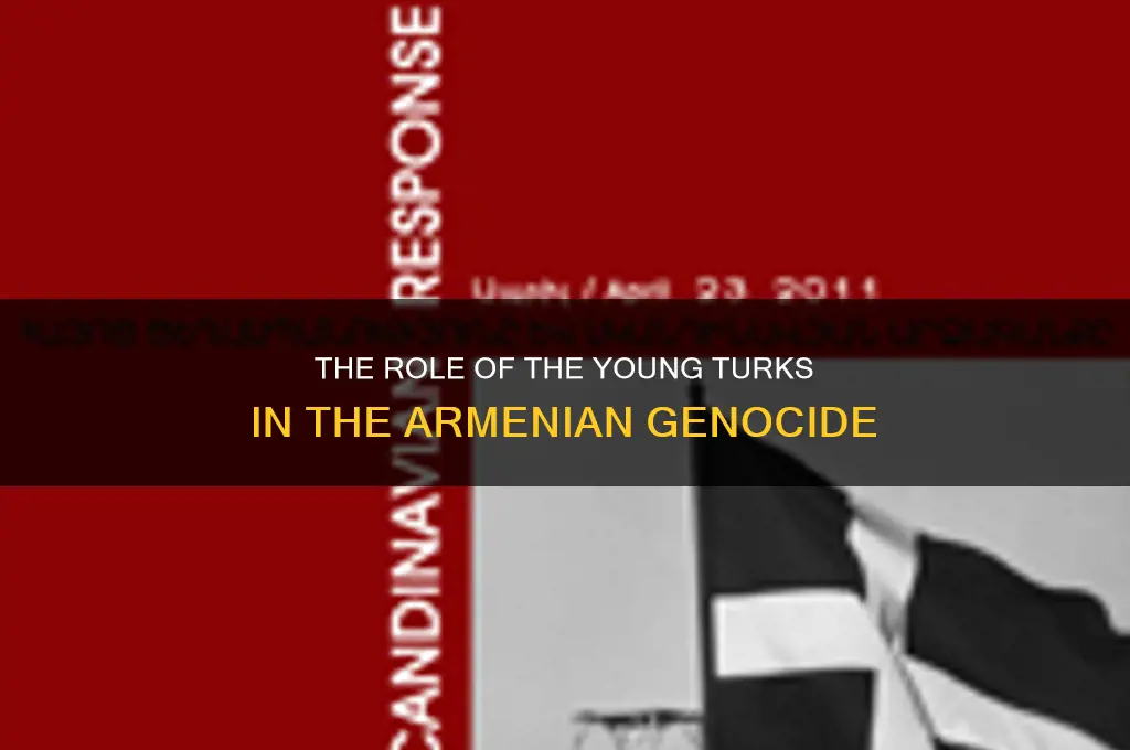 what political party was responsible for the armenian genocide