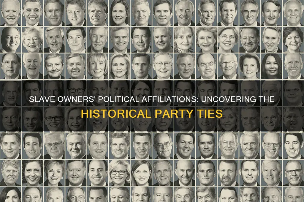 what political party was slave owners