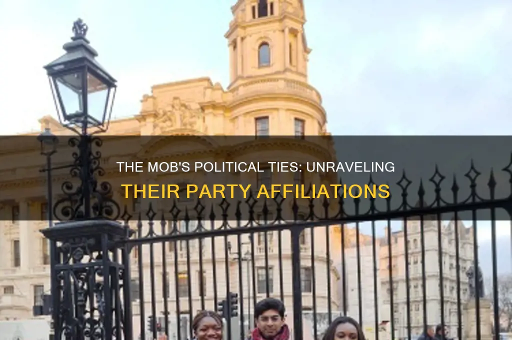 what political party was the mob
