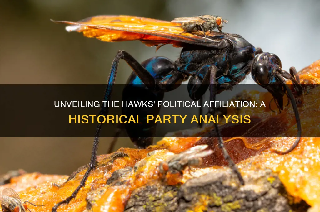 what political party were the hawks a part of