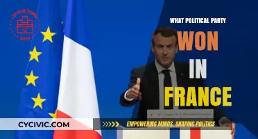 France's Recent Election Results: Which Political Party Claimed Victory?