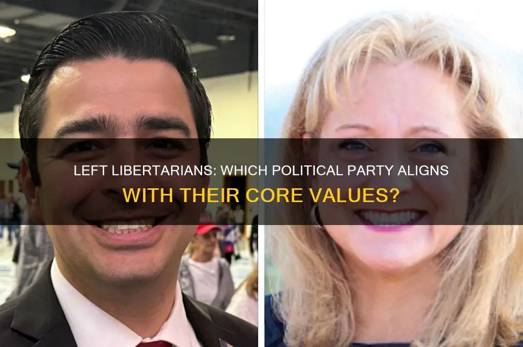 what political party would a left libertarian join