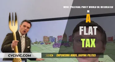 Flat Tax Appeal: Which Political Party Champions Simplified Taxation?