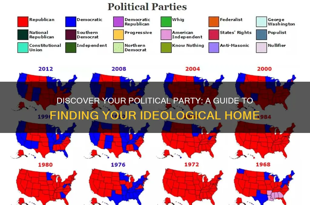 what political party would i be in