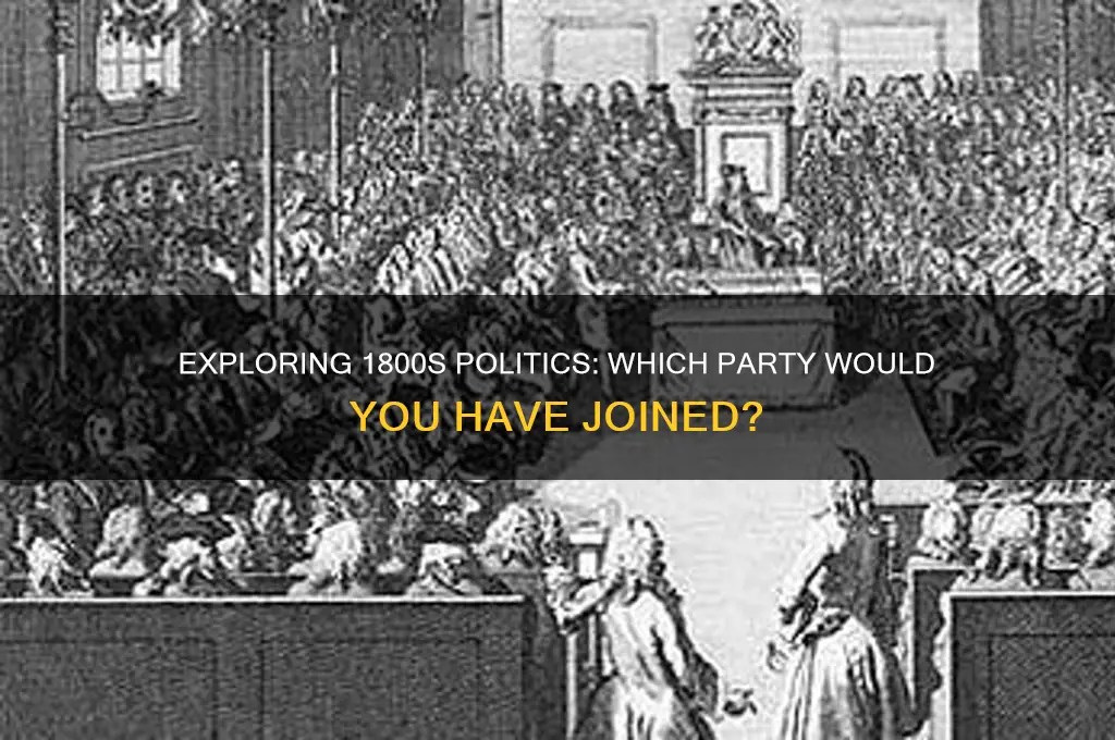 what political party would i have been in the 1800s
