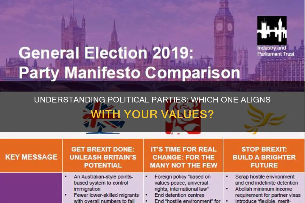 what political party