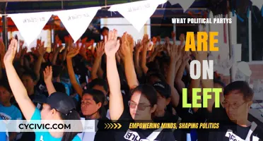 Understanding Left-Wing Political Parties: Ideologies, Goals, and Global Influence