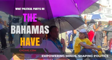 Exploring the Bahamas' Political Landscape: Parties and Their Roles