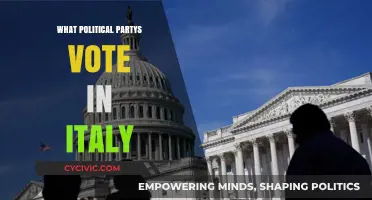 Understanding Italy's Political Landscape: Which Parties Dominate the Vote?