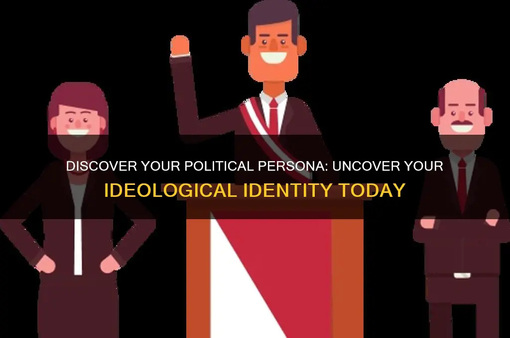 what political person am i