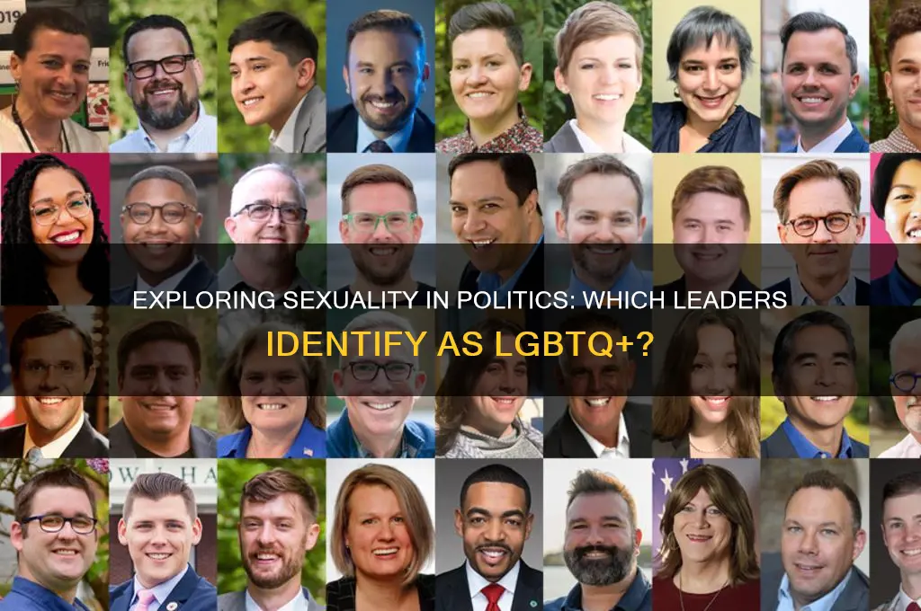 what political person is gay