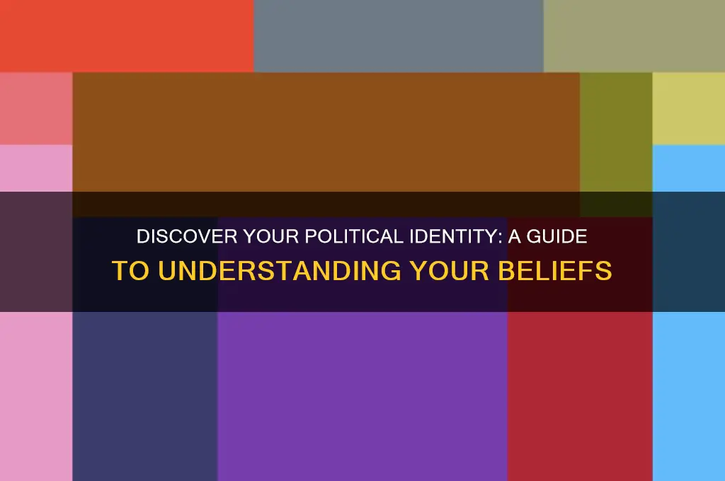 what political position am i