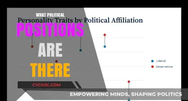 Exploring the Spectrum: Understanding Various Political Positions and Ideologies