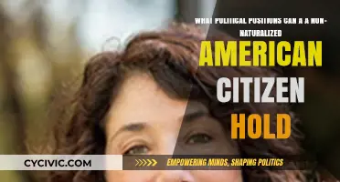 Exploring Political Roles for Non-Naturalized American Citizens