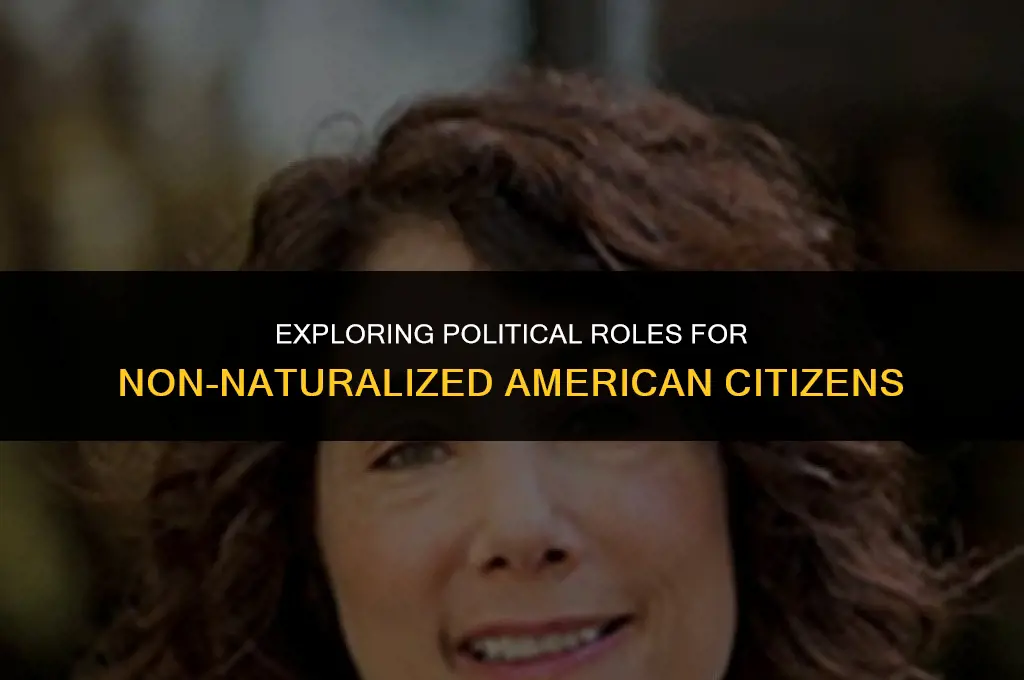 what political positions can a a non-naturalized american citizen hold