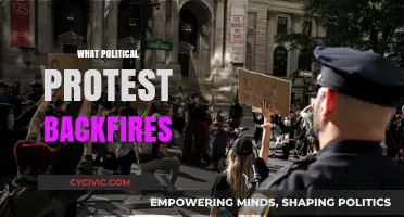 When Political Protests Misfire: Unintended Consequences of Activism