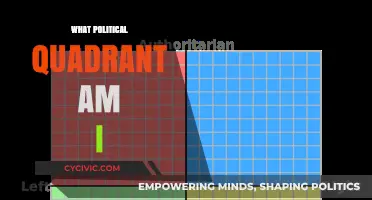 Discover Your Political Compass: Which Quadrant Defines Your Beliefs?