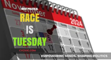 Tuesday's Political Race: Key Elections and What's at Stake