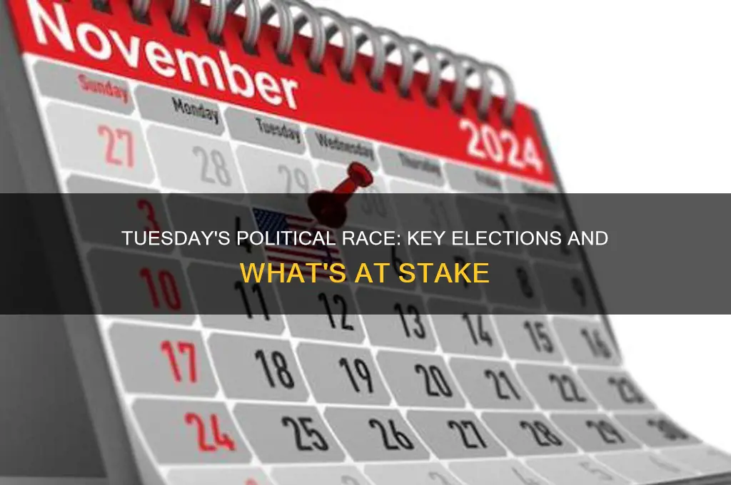 what political race is tuesday