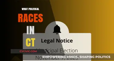 Connecticut's 2023 Political Races: Key Campaigns and Candidates to Watch