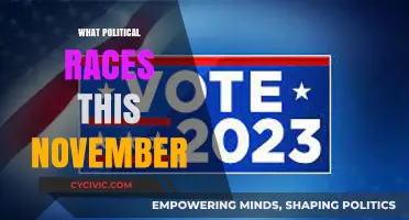Key Political Races to Watch This November: A Comprehensive Guide