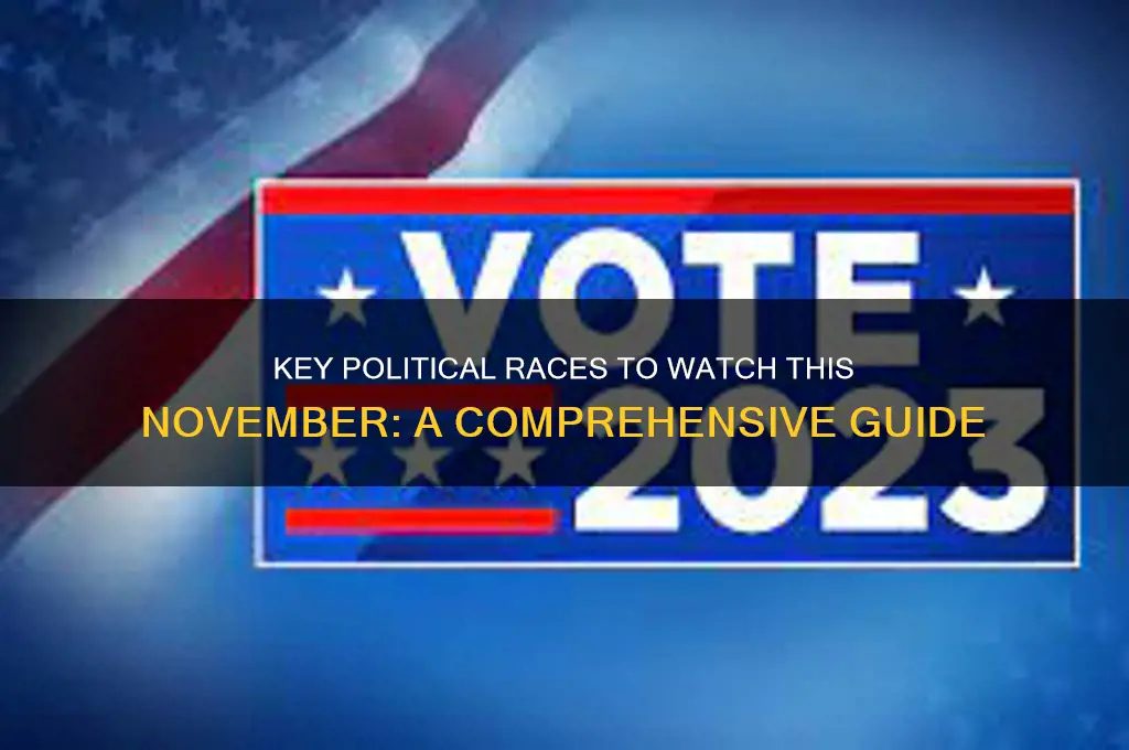 what political races this november