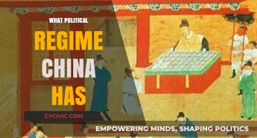 Understanding China's Political Regime: Structure, Power, and Governance Explained