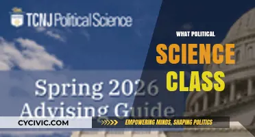 Exploring Political Science: A Guide to Understanding Your Course Options