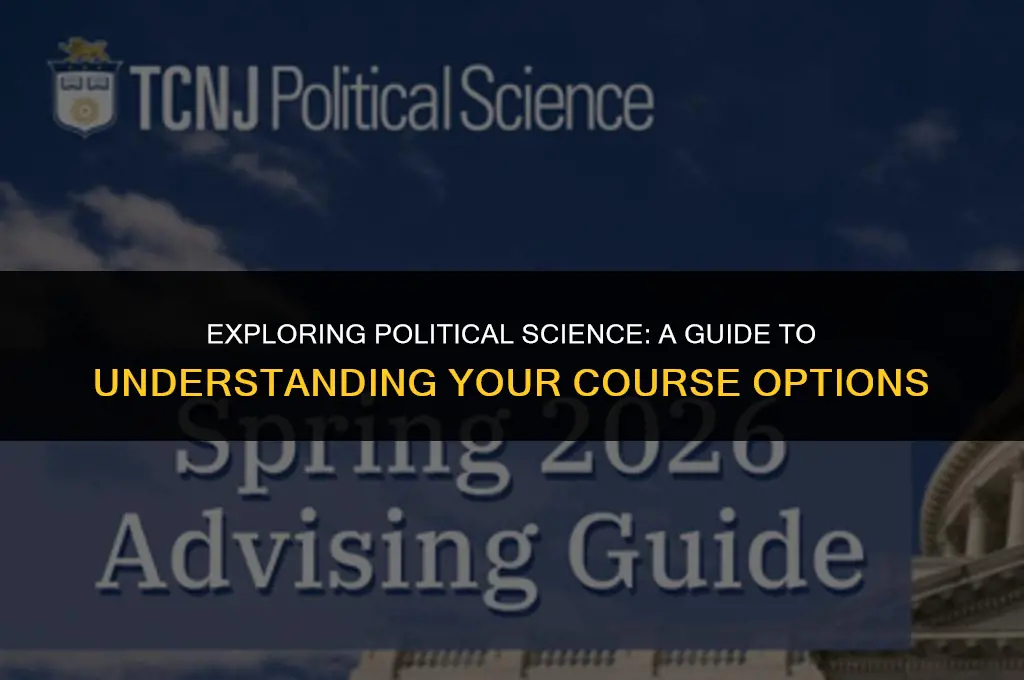 what political science class
