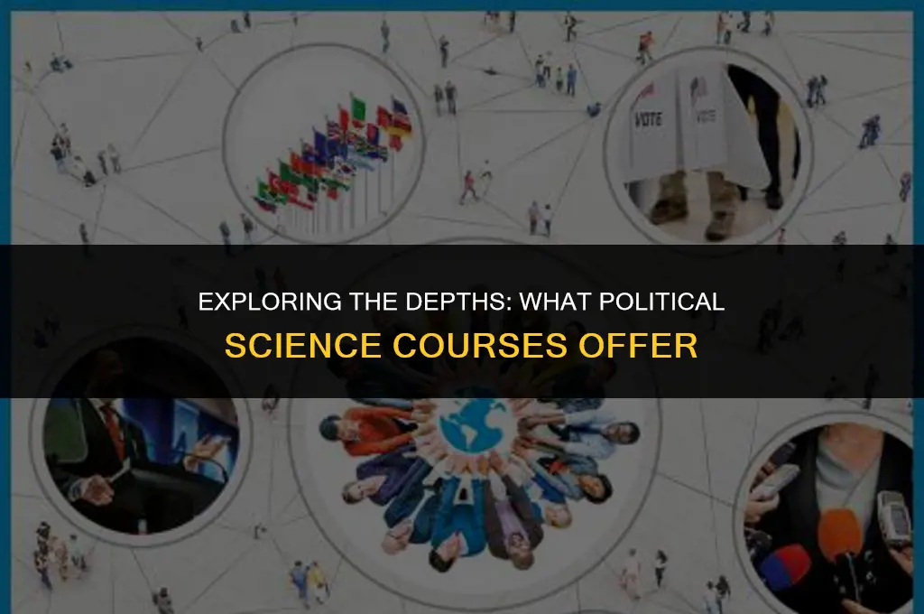 what political science course is all about