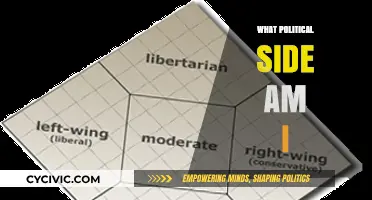Discover Your Political Leanings: Uncover Your Ideological Side Today